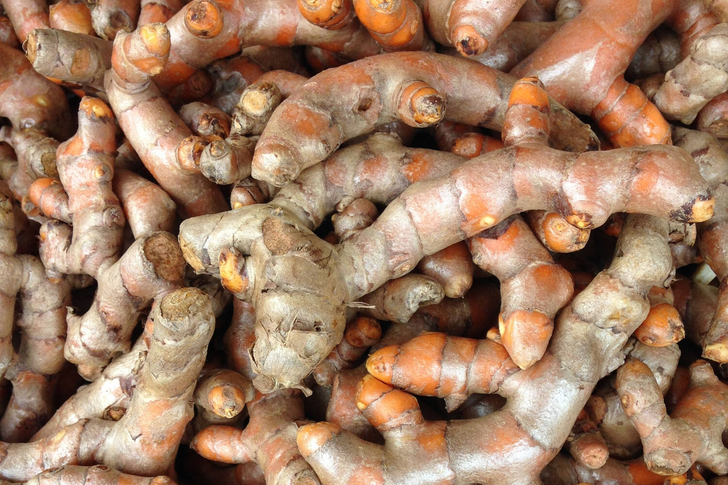 Kurkuma (turmeric) verpakt 250gr kist 6 stuks